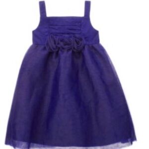 Janie and Jack tulle dress